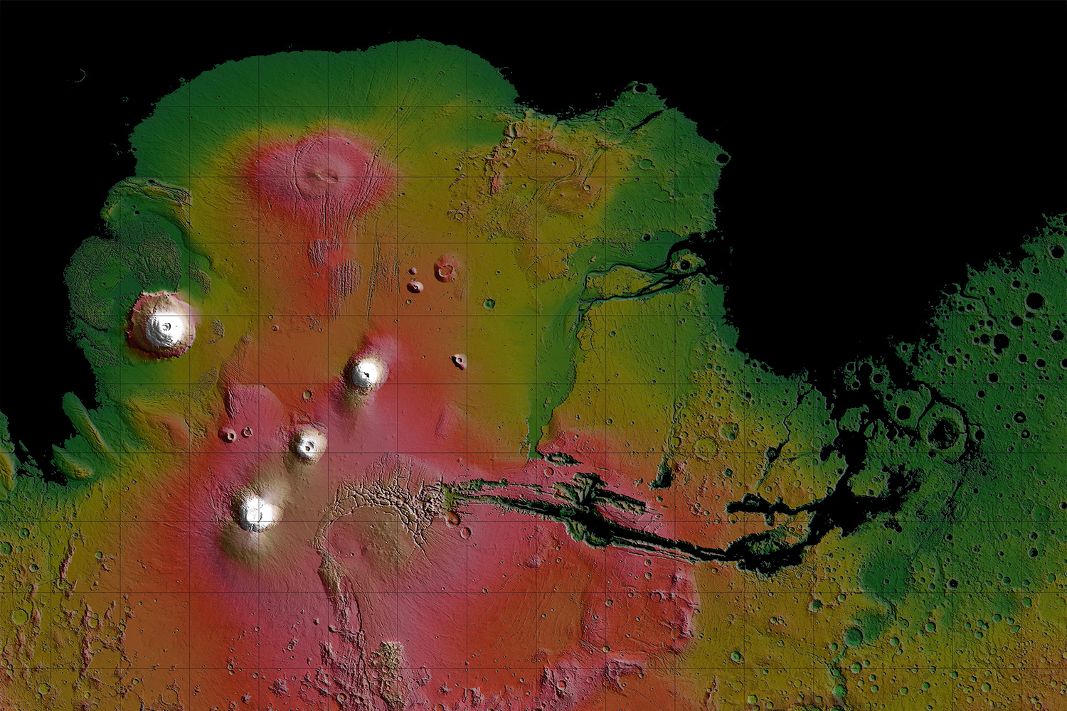 rough crop color.jpg